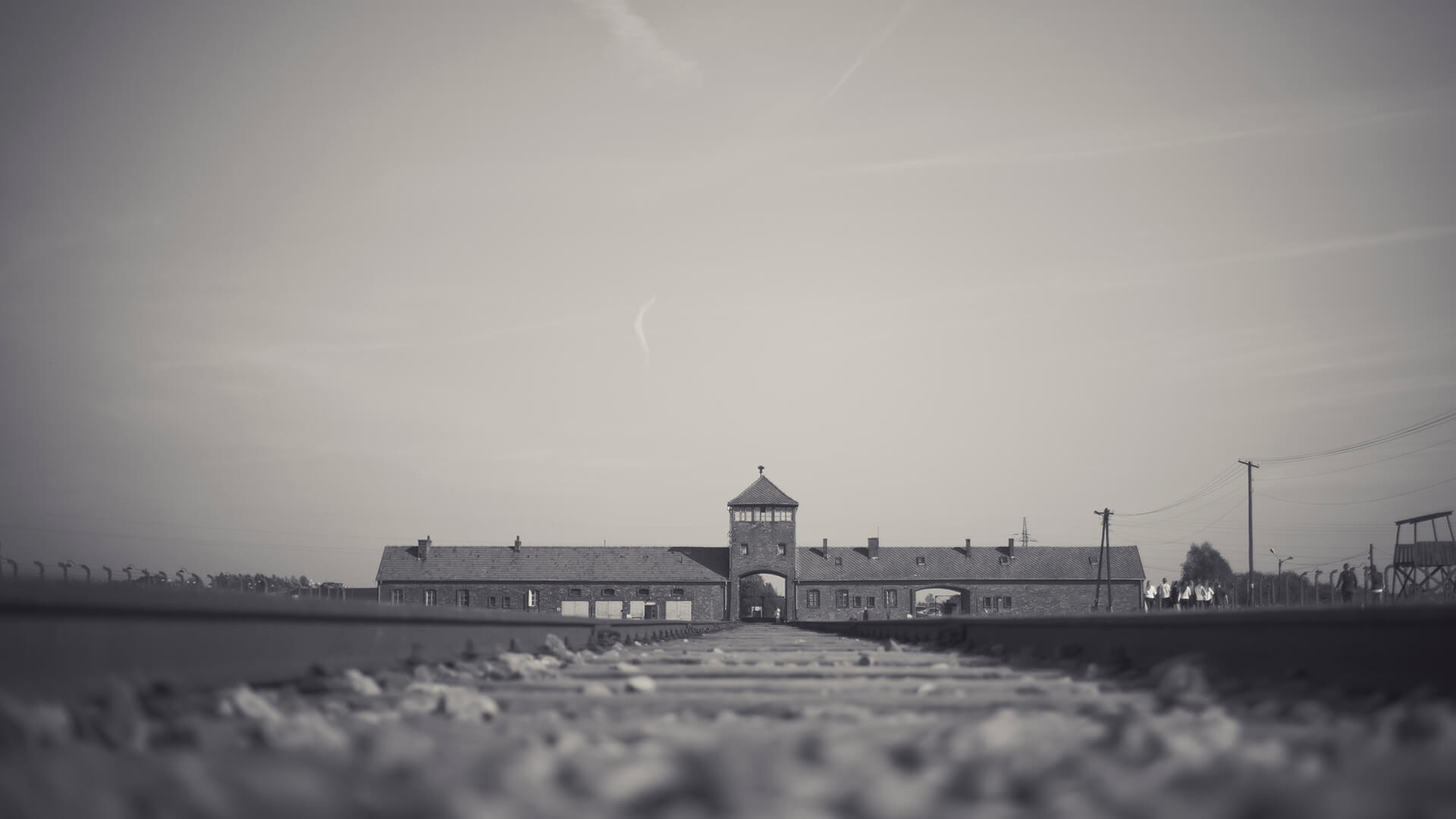 The Last Light