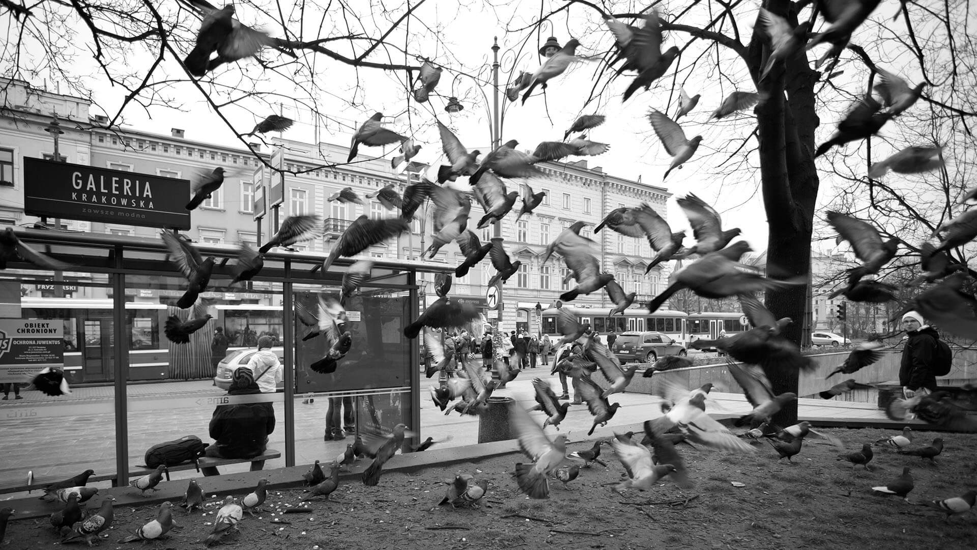 La Mia Cracovia